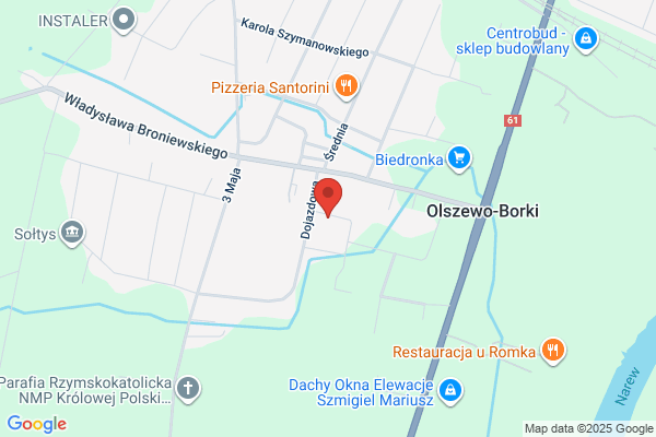 Biedrzycki Tadeusz. Uslugi transportowe