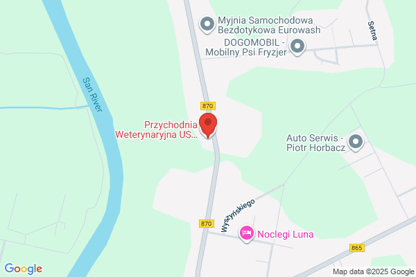 Lecznica dla zwierzat. Uswet