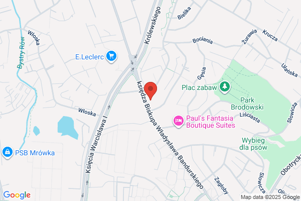 Skóra J. Biuro rachunkowe. Ksiegi rachunkowe, biznesplany