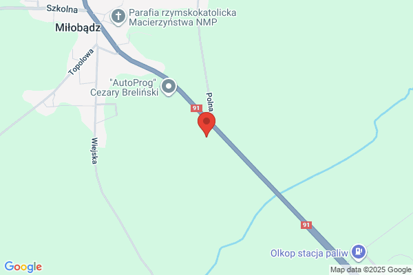 Zdrowie i Uroda. Zaklad kosmetyczny. Grzenkowska M.
