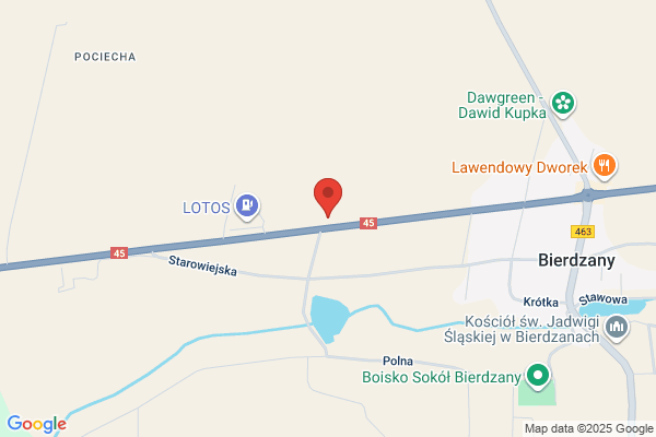 Nieslony Hubert. Transport samochodowy