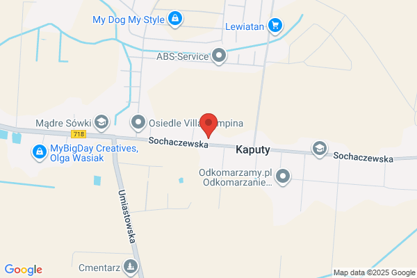 Krajewski Leszek. Uslugi transportowe