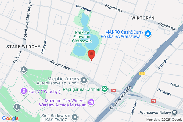 Firek Zbigniew. Transport ciezarowy