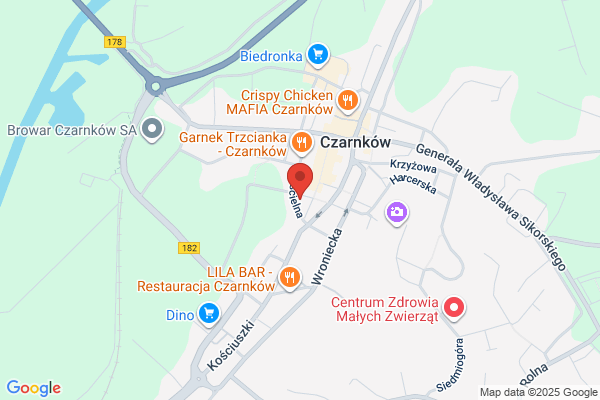 Bank Spóldzielczy w Czarnkowie. Filia
