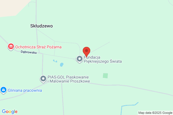 Badzinska D. Pracownia projektowa