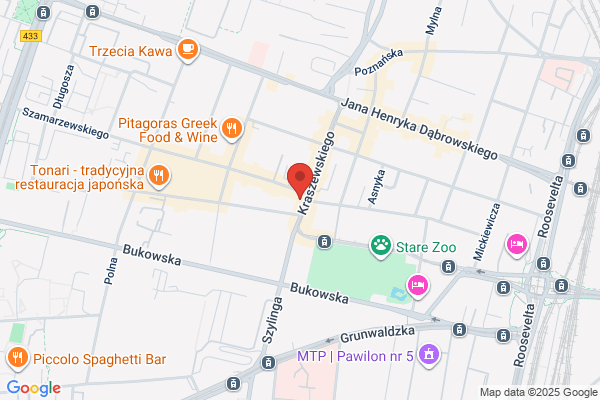 Politycki Ryszard. Projektowanie