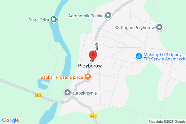 Rogowicz Jerzy. Projektowanie i nadzór budowlany