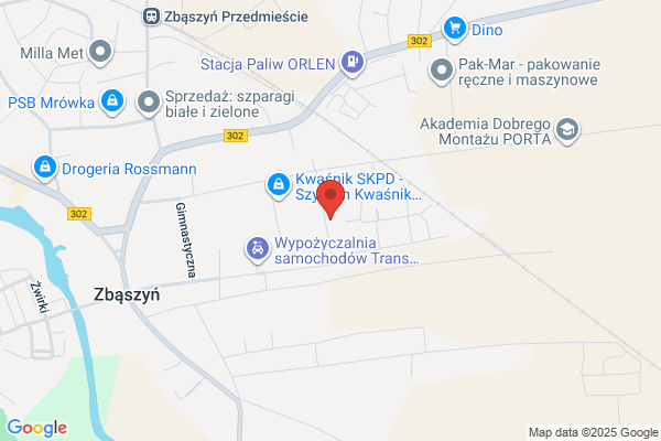 Binkis Danuta. Uslugi geodezyjno - kartograficzne