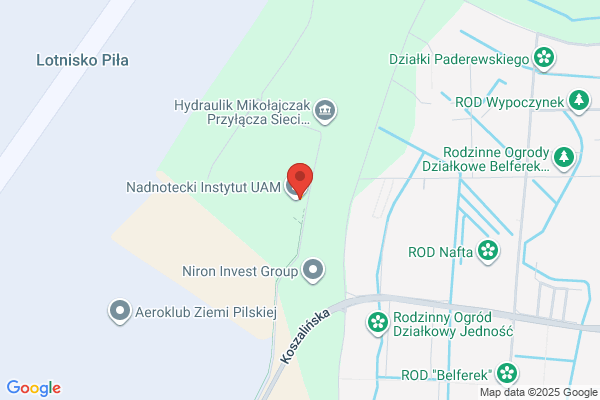 Pilska Izba Gospodarcza