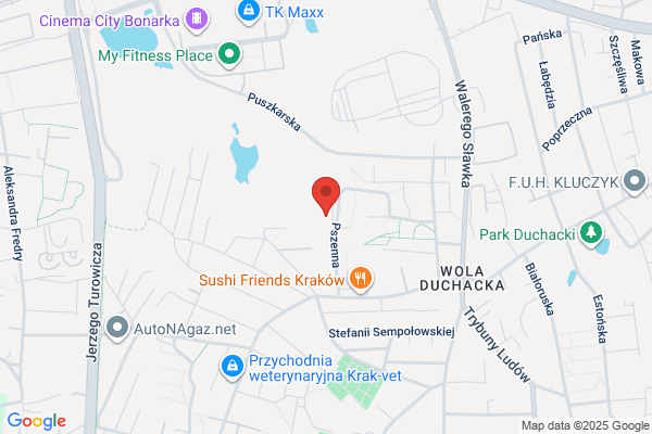 Szaefer Wojciech, lek. stomatolog. Chirurg szczekowo - twarzowy