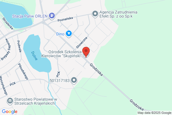 Strzelec. Nauka jazdy