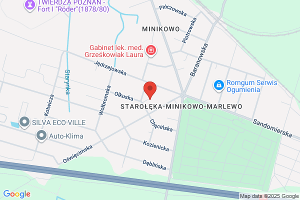 Wieczorek Czeslaw. Elektromechanika samochodowa