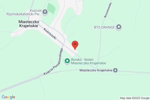 Ems SC. Przedsiebiorstwo handlowo - uslugowe
