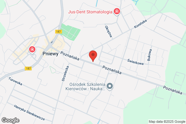 Polski Koncern Naftowy Orlen SA. Stacja paliw