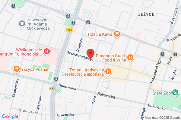 Apteka Poznanska. Leki gotowe i recepturowe