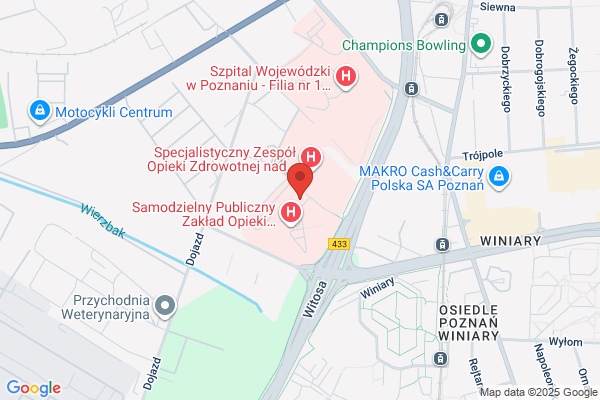 Wielkopolska. Apteka. Leki gotowe i recepturowe