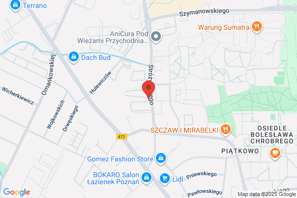 Wiktorianska. Apteka