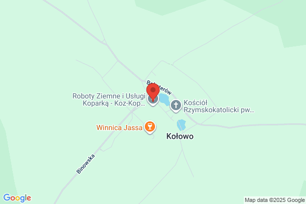 Kozlowski Jan. Zaklad uslug elektronicznych