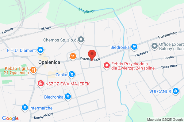 Wielkopolski Bank Spóldzielczy. Agencja