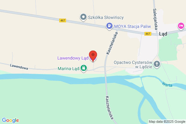 Lawendowe Pole