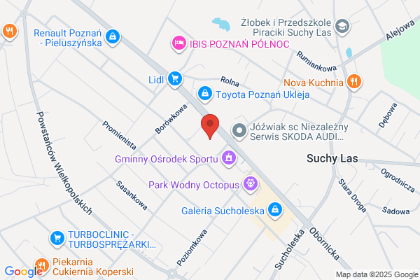 Alga. FHU. Gawarecka-Szymanska A.