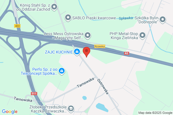Kedzia Janusz. Autoelektronika