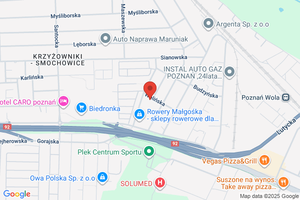 Tonserw. Naprawa glosników