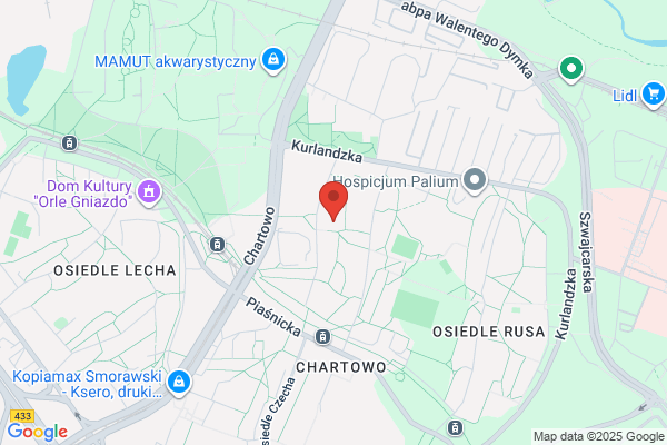 Wesolowska Kinga. Farby, lakiery