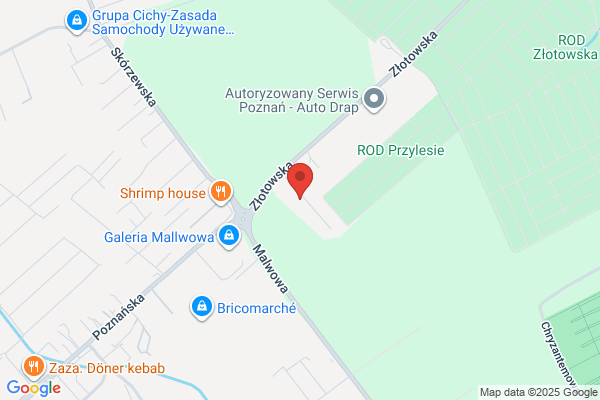 Borowczak M. Uslugi geodezyjno - kartograficzne