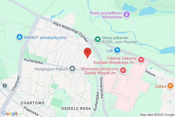 Wodkan. Sp. z o.o. Poznanskie Przedsiebiorstwo Robót Instalacyjno - Hydrotechnicznych