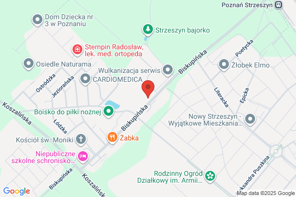 Instytut Budownictwa, Mechanizacji i Elektryfikacji Rolnictwa w Warszawie. Oddzial w Poznaniu