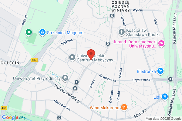 Instytut Technologii Drewna. Badanie drewna i tworzyw drzewnych