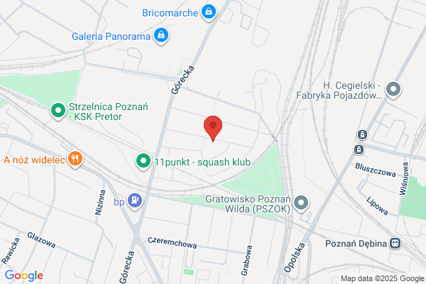 Wielkopolskie Jajko SC