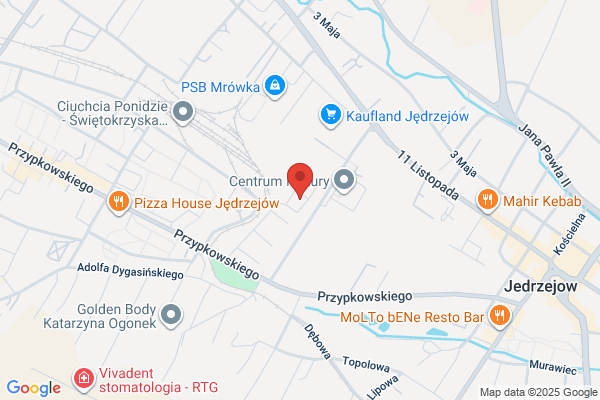 Szansa. Prywatny zaklad oswiatowy. Dziejma E.