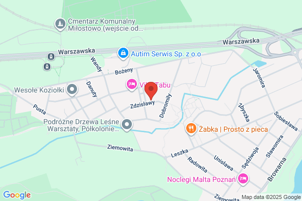 Wyjscie. Czajkowski M.