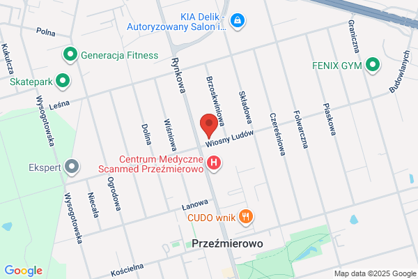 Luma. Kazmierska L.