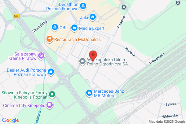 Bratek. FH. Rosliny suszone, dodatki florystyczne
