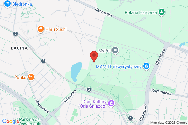 Maltadent. Rzatowski S., lek. stomatolog