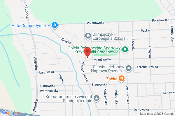 Karmelita Ewa. Uslugi sekretarskie