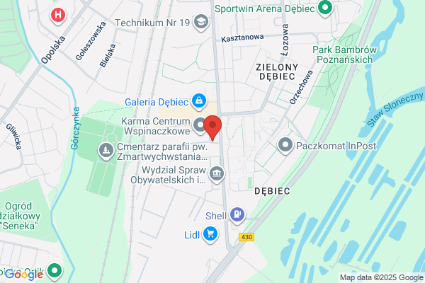 Ortbut. Szewstwo ortopedyczne