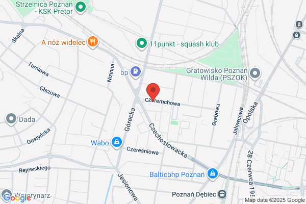 Mielczarek Ireneusz i Synowie. Zaklad rzeznicko - wedliniarski. S.j.