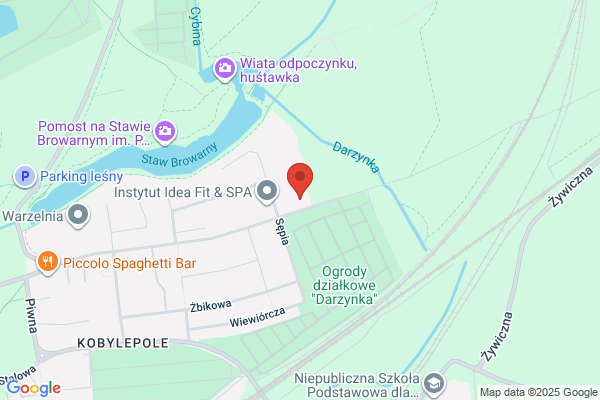 Pawlak Zbigniew. Orkiestra