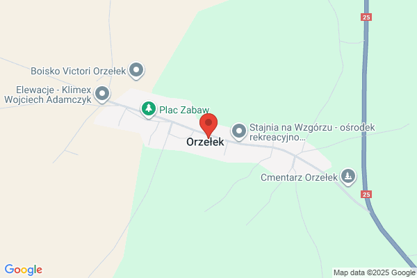 Orzel Nieruchomosci. Czarnecka A.