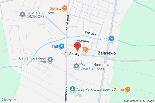 Chruscinska - polski awangardowy brand