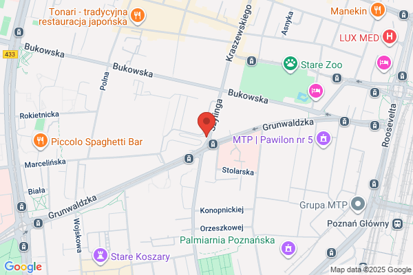 Drozdowski B. Roma. Pracownia optyczna