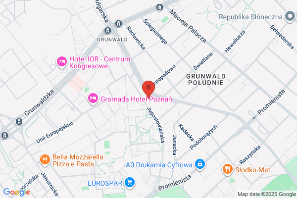 Polski Koncern Naftowy Orlen SA. Regionalna jednostka organizacyjna