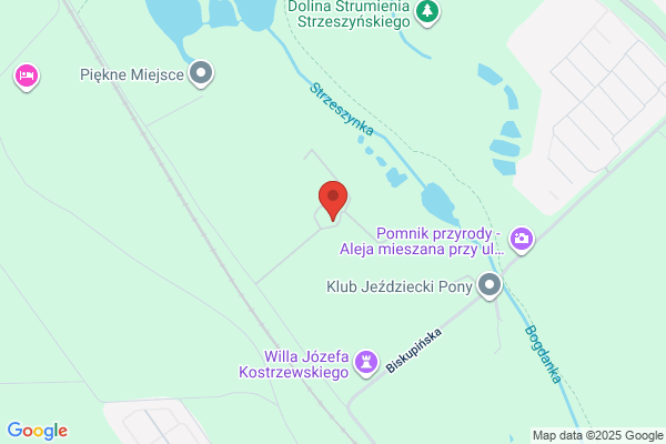 Rancho. Jazda konna, ogniska, paintball