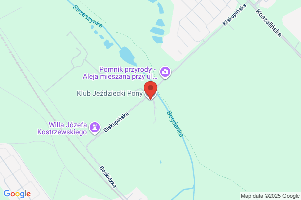 Pony. Gospodarstwo agroturystyczne, klub jezdziecki