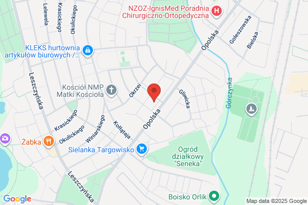Serwoflex SC. Jaremba A., Porzucek M.