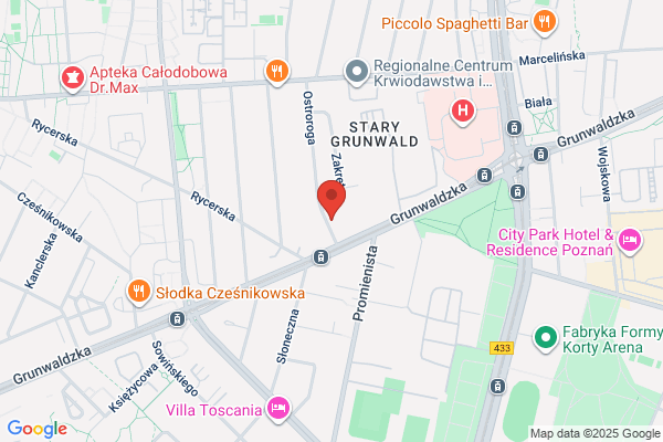 Studio Sylver. Wydawnictwo, naswietlarnia, multimedialne realizacje